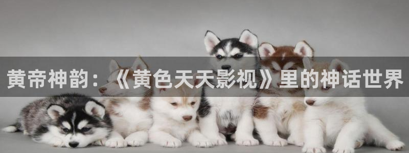 初体验3战地影院免费观看：黄帝神韵：《黄色天天影视》里的神话世界
