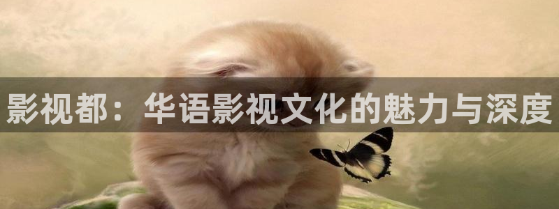 战地影院1080：影视都：华语影视文化的魅力与深度