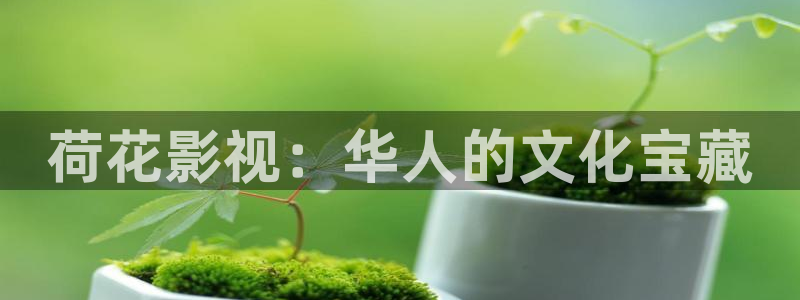 战地影院姐姐的朋友：荷花影视：华人的文化宝藏