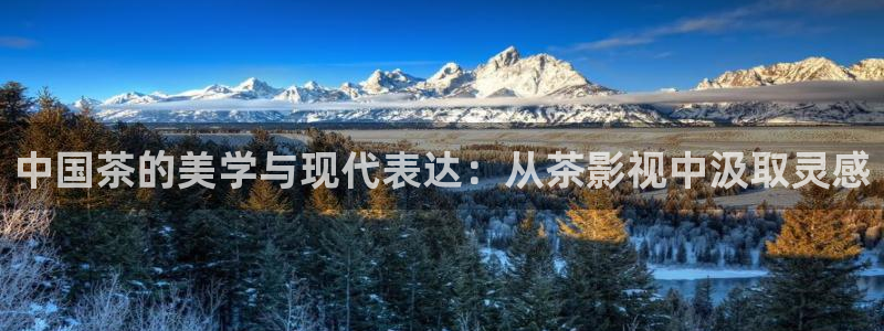 战地英雄电影免费观看：中国茶的美学与现代表达：从茶影视中汲取灵感