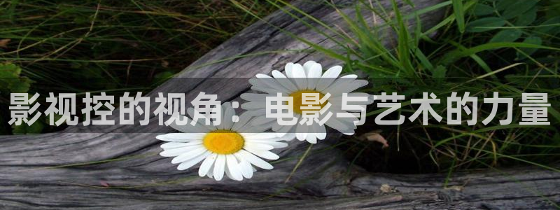 战地5电影：影视控的视角：电影与艺术的力量