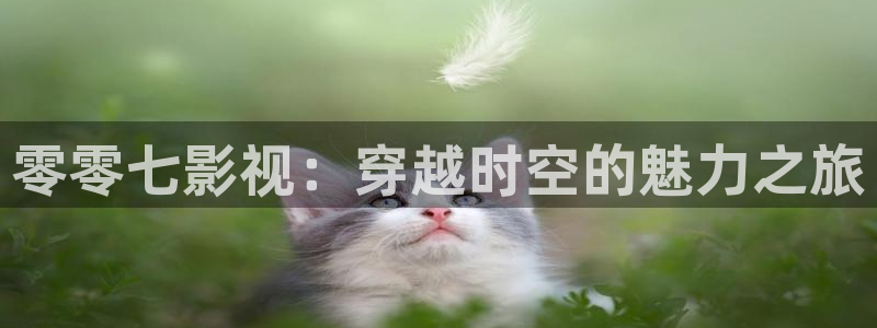 战地影院1080p高清免费：零零七影视：穿越时空的魅力之旅