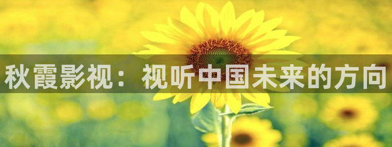韩国电影战地影院：秋霞影视：视听中国未来的方向