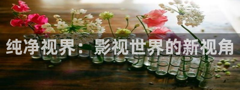 战地影院sf91：纯净视界：影视世界的新视角